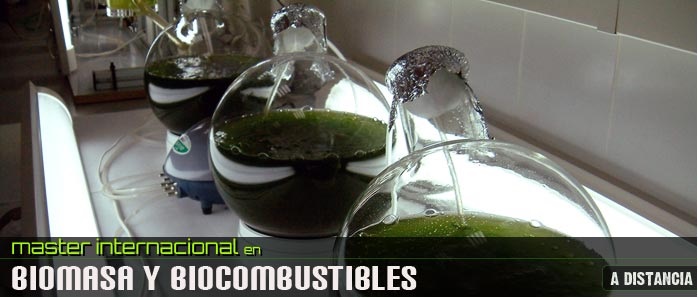 Máster Internacional en Biomasa y Combustibles