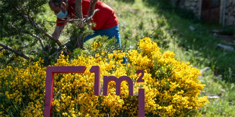 ‘1m2 contra la basuraleza’ celebra su décima edición con más días y participación ciudadana