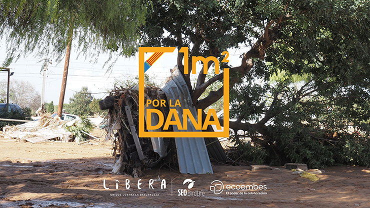 LIBERA pone en marcha “1m2 por la DANA” para limpiar de basuraleza las zonas afectadas