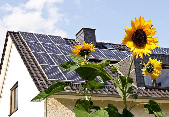 La inseguridad jurídica que genera llevará al 30% del parque fotovoltaico a no poder hacer frente al servicio de la deuda 