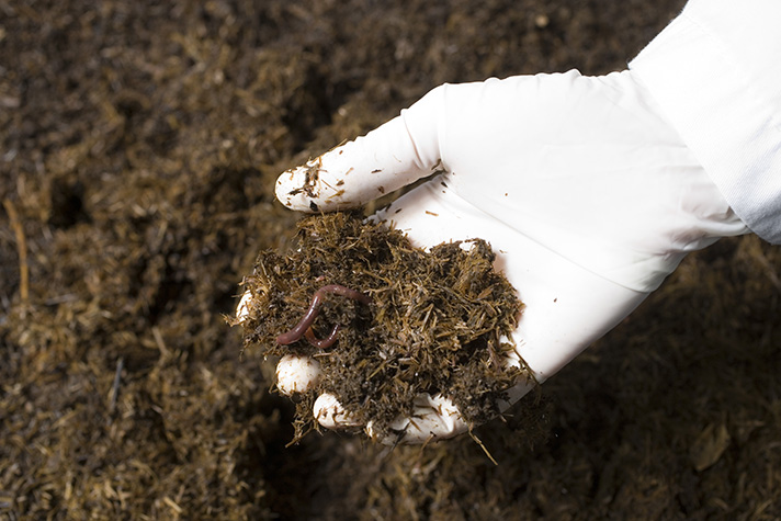 El objetivo de este proyecto es desarrollar una metodología que permitirá analizar la sostenibilidad de un plan de remediación de suelos contaminados