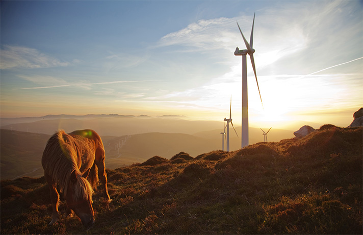 Según un estudio de la consultora noruega DNV GL, el uso de la energía global alcanzará su punto máximo y luego disminuirá drásticamente 