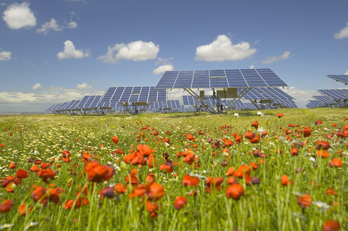 Actualmente los proyectos fotovoltaicos en tramitación en las diferentes CC.AA. suman un total de 24 GW