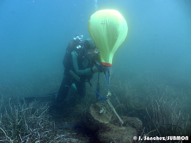 Esta nueva alianza consiste en estudiar y retirar, siempre que sea posible, residuos de gran tamaño de fondos con posidonia