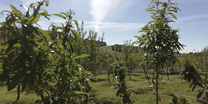 Simbiosis entre la industria y la agricultura a través del reciclado de nutrientes