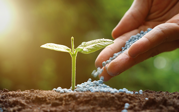 Este Reglamento, que forma parte del Plan de Acción de la UE para la Economía Circular, será de aplicación a los productos fertilizantes de la Unión Europea