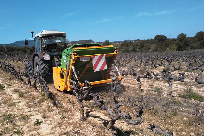 Aprovechar la energía de los sarmientos en el Penedès: un caso de éxito en Europa