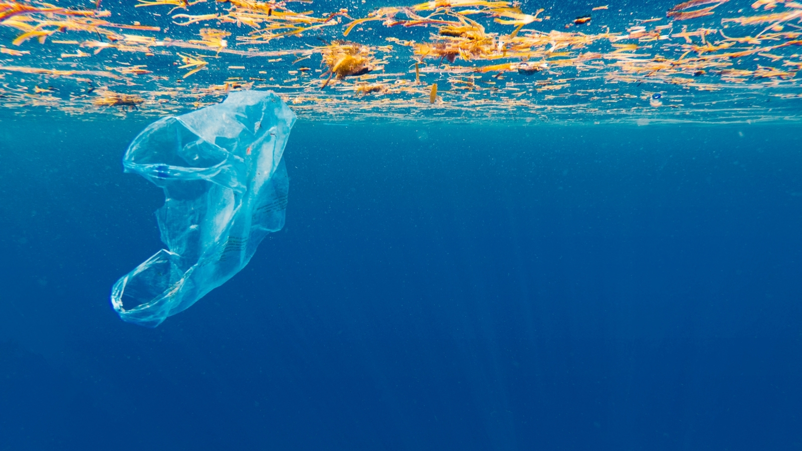  El MITECO ha defendido la necesidad de constituir un Comité  Intergubernamental sobre Desechos Marinos y Contaminación por  Plásticos 