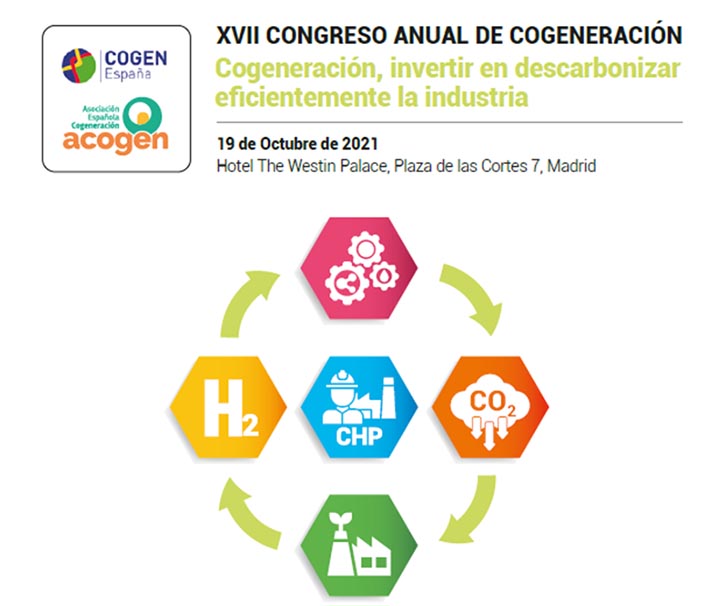El Congreso Anual de Cogeneración se convierte en foro de intercambio para debatir el nuevo marco que saldrá de las subastas