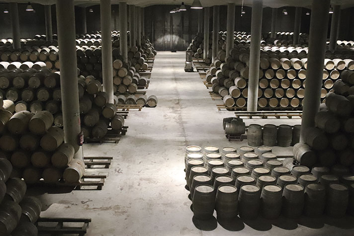 Estudio de viabilidad de las bodegas de energía cero