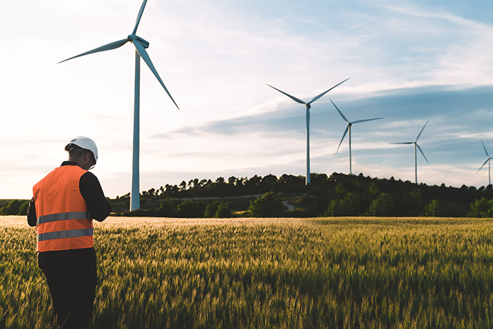 La taxonomía verde debe utilizarse sólo para las energías renovables