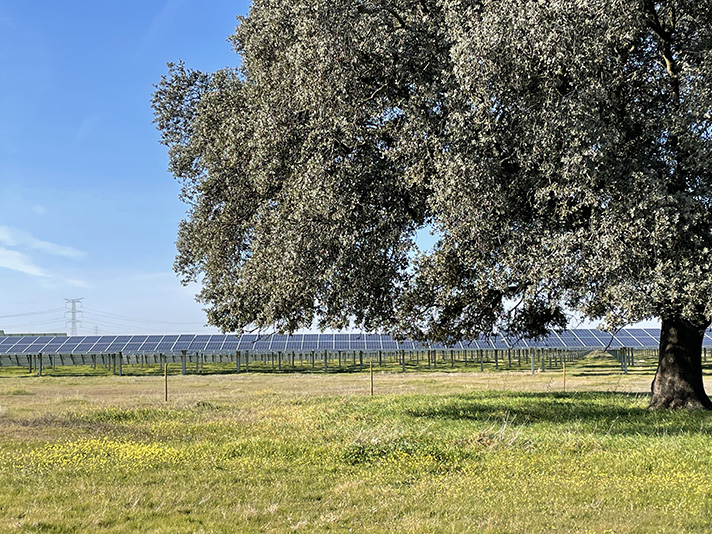 Es la segunda instalación fotovoltaica en funcionamiento que ostenta el Sello 