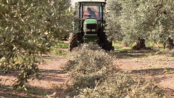 La agrobiomasa y los gases renovables son una enorme oportunidad para desconectar nuestra economía de las importaciones de combustibles fósiles