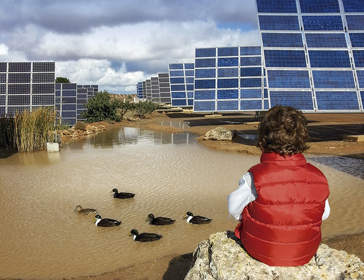 La única sombra que aparece a corto plazo en el horizonte de la energía fotovoltaica en este momento es la oposición a la construcción de plantas en algunos lugares