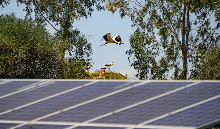 UNEF desmiente los 10 principales mitos sobre la energía solar 