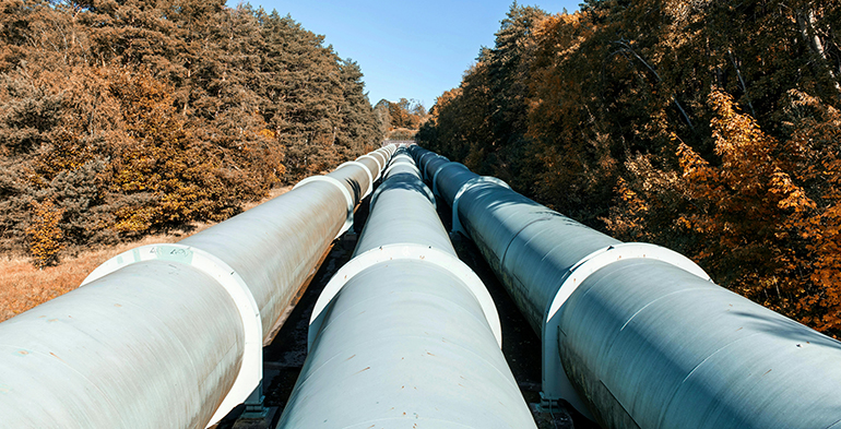 El MITECO propone cuotas obligatorias de biometano para alcanzar el 6% del gas natural en 2035