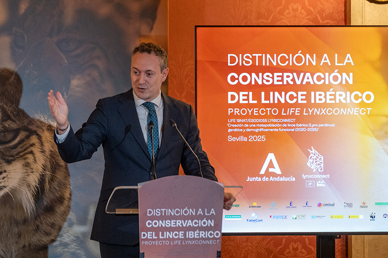premios-life-lynxconnect-2025 conservacion-lince-iberico