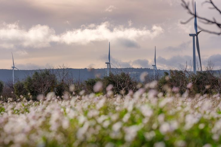 FORO INDUSTRIA Y ENERGÍA