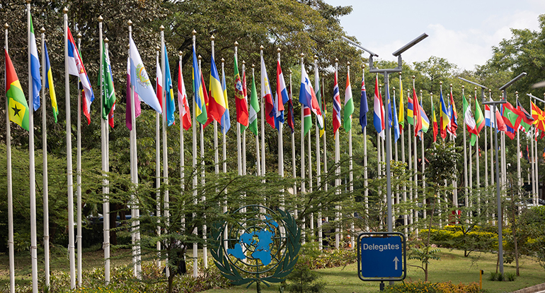 El Informe Anual de la UNEP destaca avances ambientales globales en 2025 gracias a la cooperación internacional