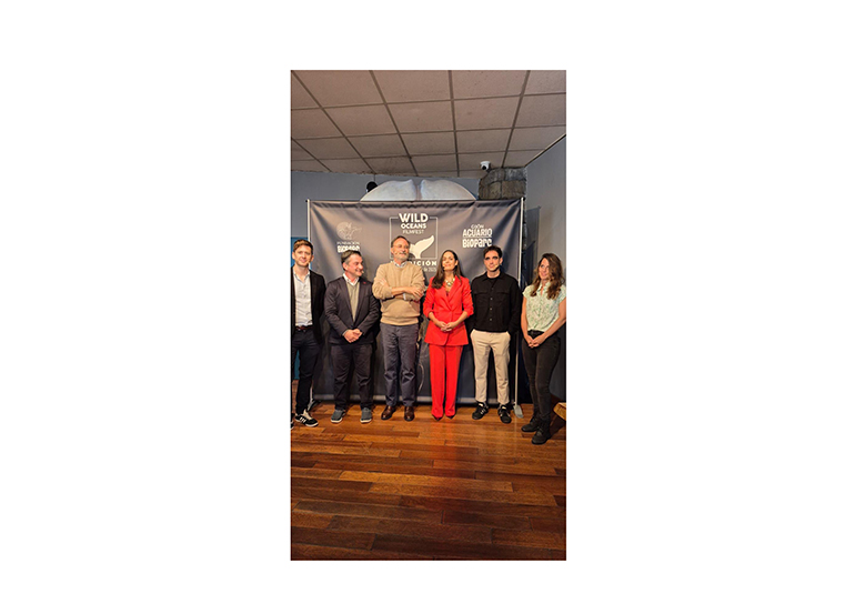 Wild Oceans FilmFest