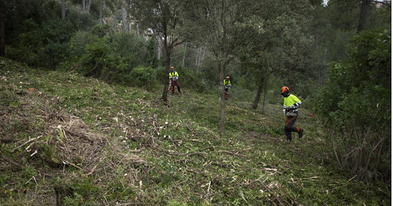 El AMB aprueba 1,35 millones en subvenciones para reforzar la prevención de incendios forestales