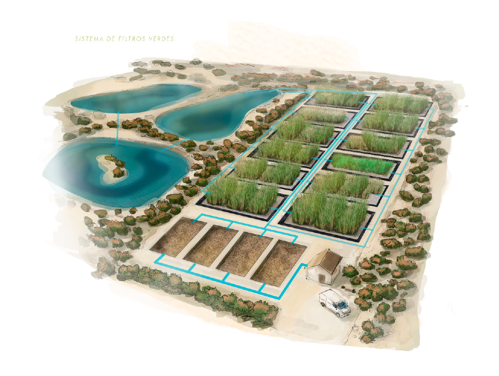 MITECO da luz verde ambiental a los filtros verdes de El Albujón y Los Alcázares para desnitrificar el acuífero del Campo de Cartagena