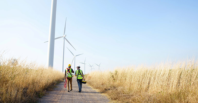 Minsait reduce un 85% la mortandad de murciélagos en parques eólicos con inteligencia artificial