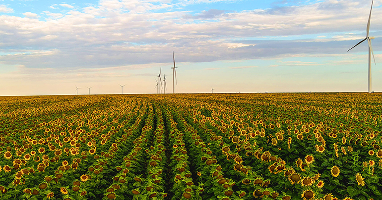 Amazon destina 3.000 millones a proyectos de descarbonización en España y refuerza su apuesta por la transición ecológica