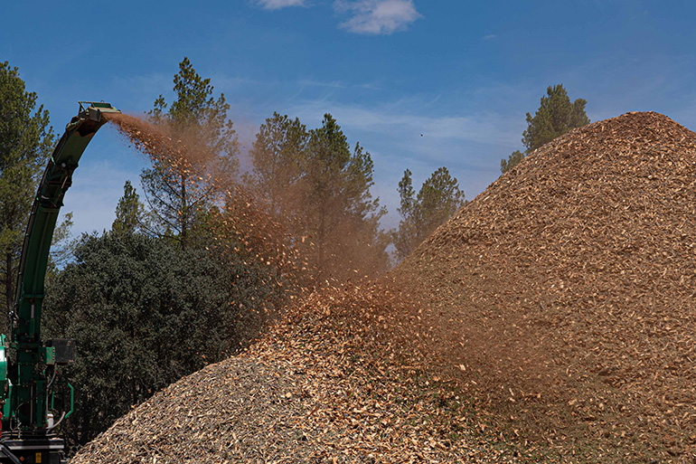 veolia biomasa forestal incendios
