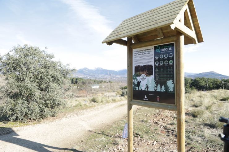 bosque sigaus guadarrama