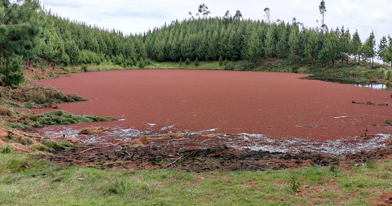 Una investigación del LEQUIA propone nuevas claves para afrontar los retos del agua en los Andes