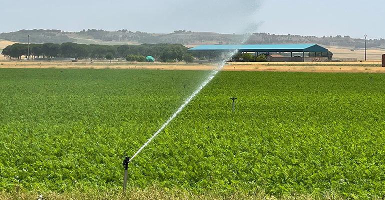 EF Polymer llega a España con una tecnología vegetal que busca reducir hasta un 40 % el riego agrícola