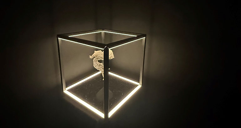 Signus y Traductores del Viento entregan los Premios a la Creación desde la Sostenibilidad 2025 “Una segunda vida”