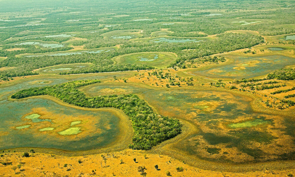  #DíaMundialdelosHumedales: La pérdida de los humedales latinoamericanos es una amenaza ecológica mundial