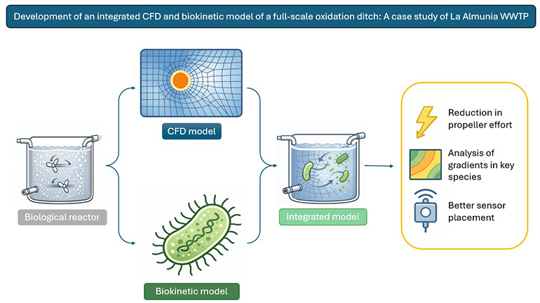 Doctorado industrial de ACCIONA y LEQUIA integra CFD y modelos de fangos activos para optimizar EDARs