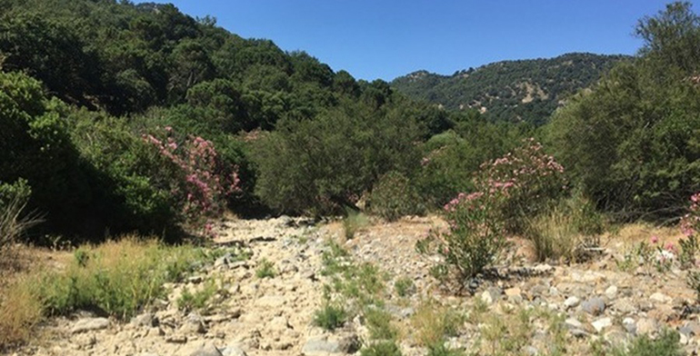 Nuevo método mejora la monitorización ecológica de los ríos temporales ante el avance de las sequías