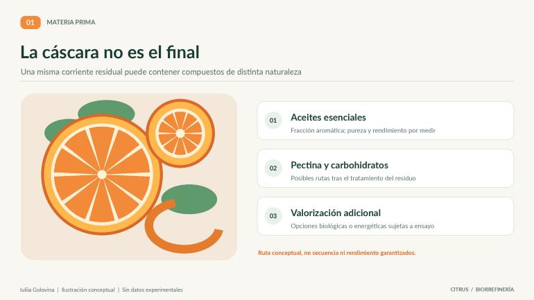 citricos biotecnologia