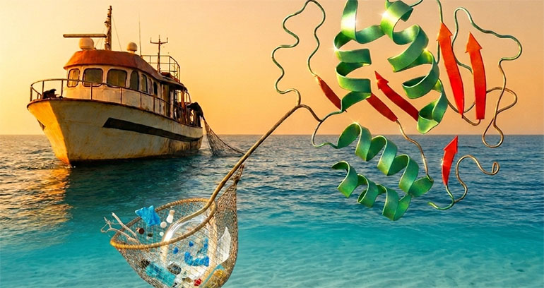 El proyecto OCEANZYME investiga nuevas soluciones de reciclado enzimático para basuras marinas