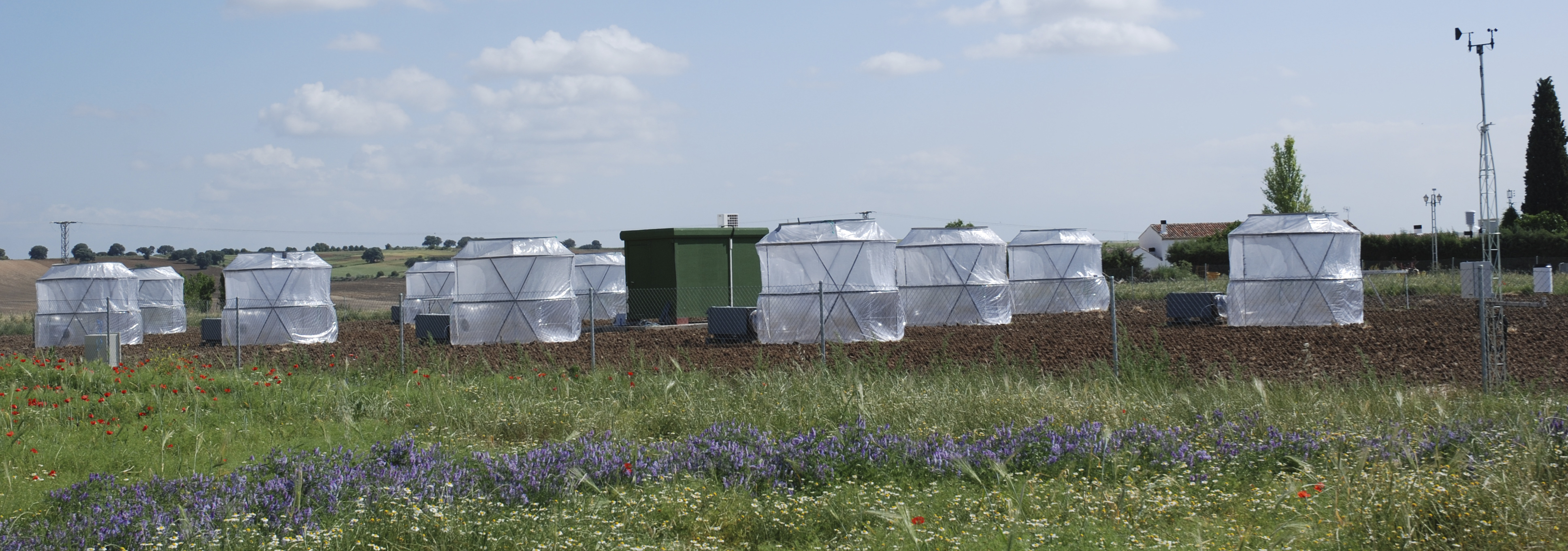 Ecotoxicología de la contaminación atmosférica en CIEMAT:  Modelización al servicio de la conservación