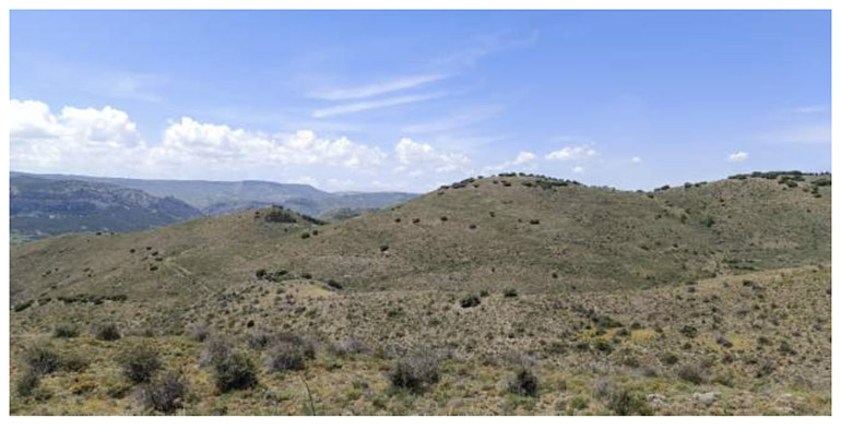 Forest Makers supera los 3 millones de créditos de carbono tras la aprobación de Montalbán Live