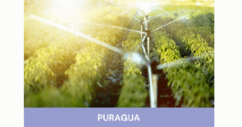 PURAGUA: una nueva plataforma para el tratamiento y reutilización segura del agua en zonas vulnerables al cambio climático