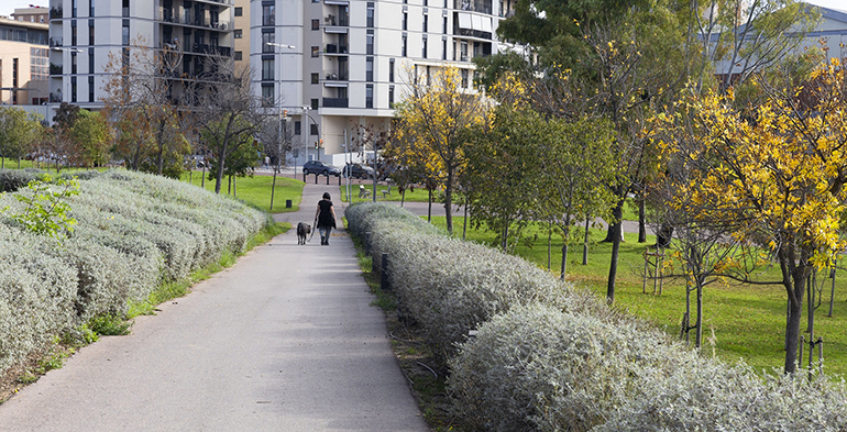 Los parques metropolitanos logran en 2025 su mejor puntuación y refuerzan la satisfacción ciudadana
