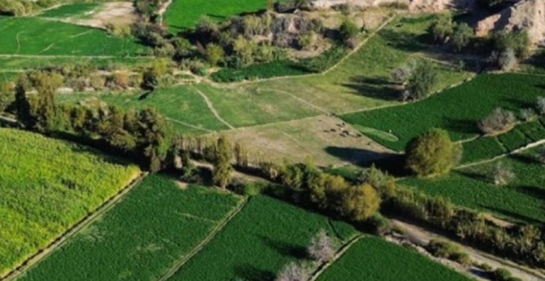 Perú impulsará 14 megaproyectos de irrigación por más de US$ 21.000 millones para transformar el agro y cuadruplicar exportaciones