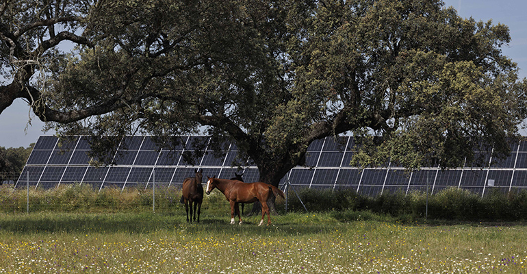 Statkraft impulsa dos nuevas plantas solares en Cáceres tras obtener la autorización ambiental