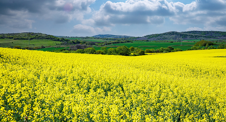 APPA pide reconocer sin límites los ahorros de CO2 de los biocombustibles para acelerar la descarbonización del transporte