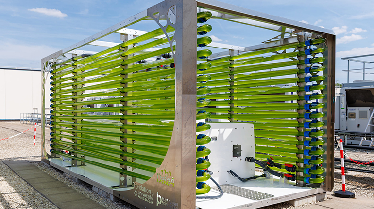 Data4 y la Fundación de la Universidad París-Saclay transforman el calor residual en biomasa de algas