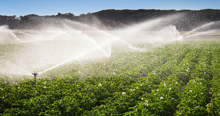 El regadío, motor de futuro de España | Irrigation: the driving force behind Spain’s future