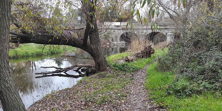 ACCIONA renaturalizará el río Guadarrama y el Arroyo de la Poveda a su paso por Collado Villalba (Madrid)