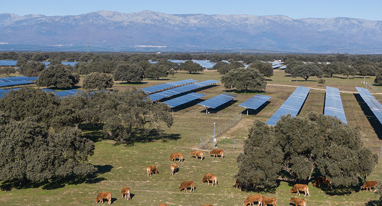 La noruega Statkraft invertirá 150 millones en un su primer proyecto de renovable en Murcia