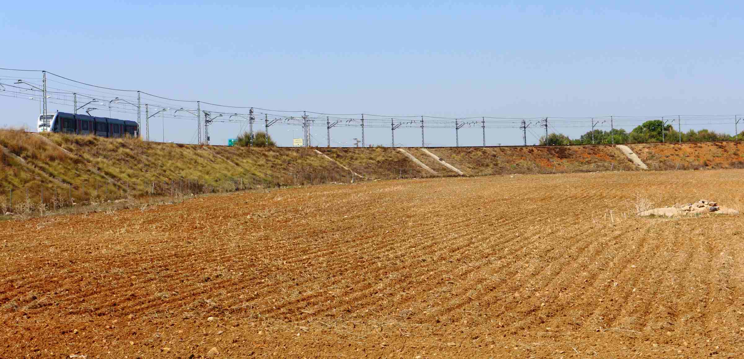 Terrenos en los que se construirá la instalación de autoconsumo para la Universidad Pablo de Olavide.